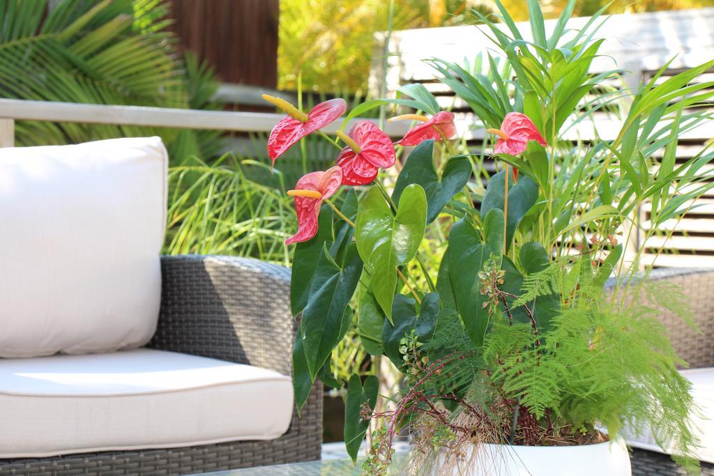 Apartament Margayillat Manapany-les Bains Zewnętrze zdjęcie